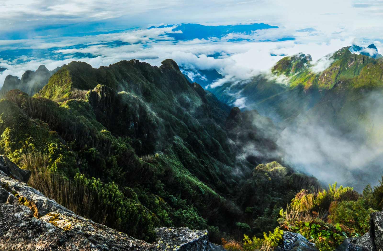 HAM RONG MOUNTAIN